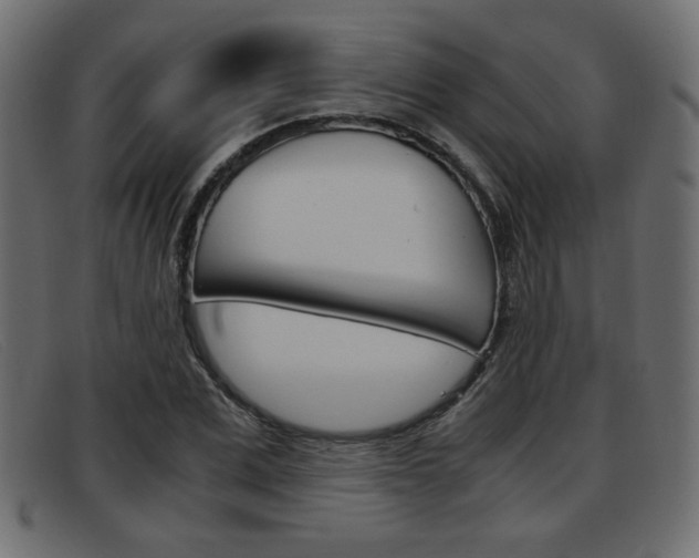 X0000093390975200710111345