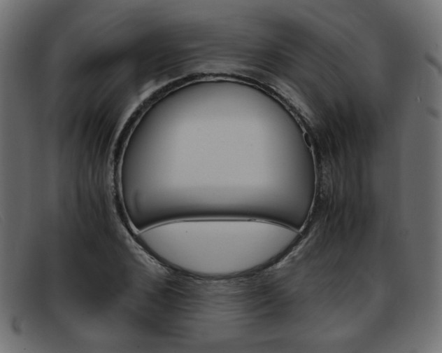 X0000093390976200710111345