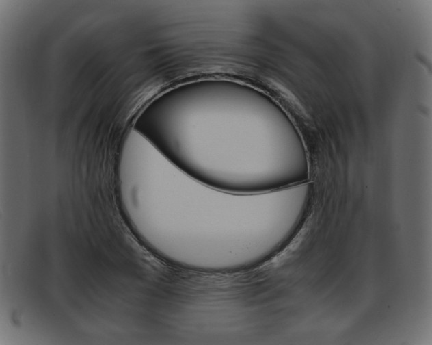 X0000093390977200710111345
