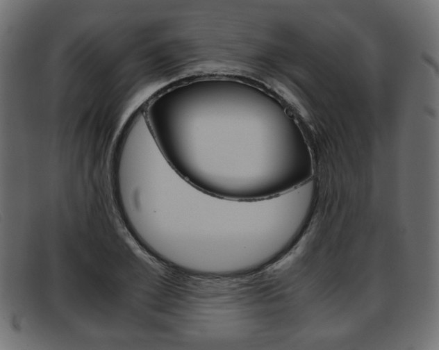 X0000093390981200710111344