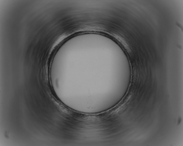 X0000093390982200710111344