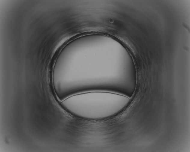 X0000093390983200710111344