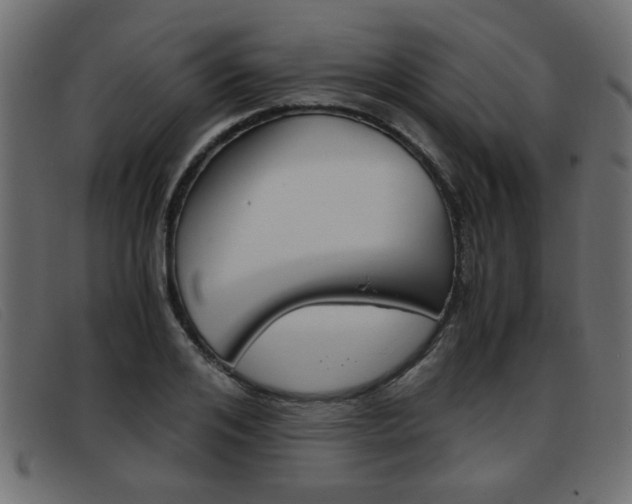 X0000093390984200710111344