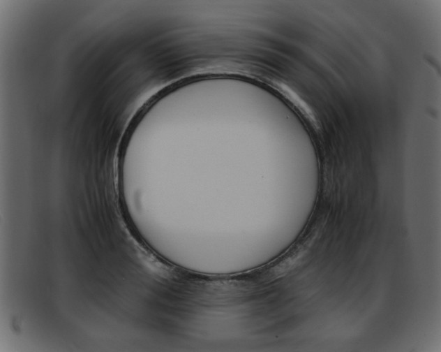 X0000093390988200710111344