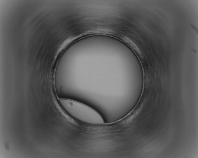 X0000093390989200710111344