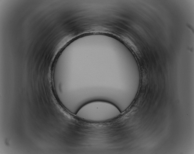 X0000093390990200710111344