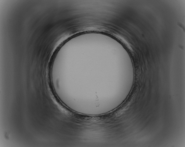 X0000093390991200710111344