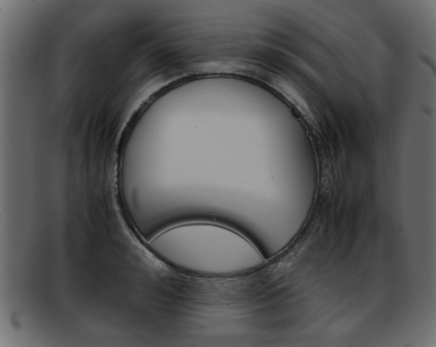 X0000093390992200710111344