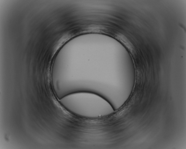 X0000093390994200710111344