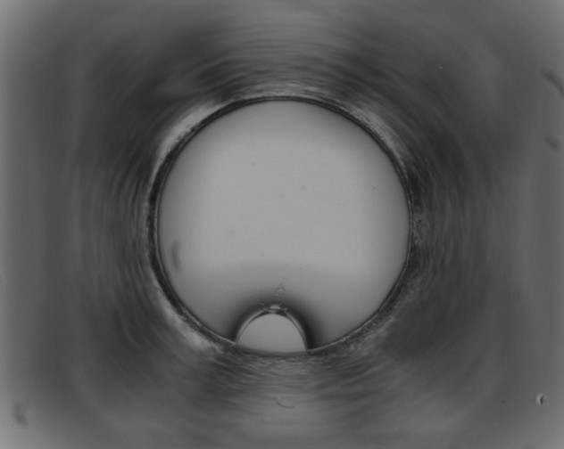 X0000093390995200710111344