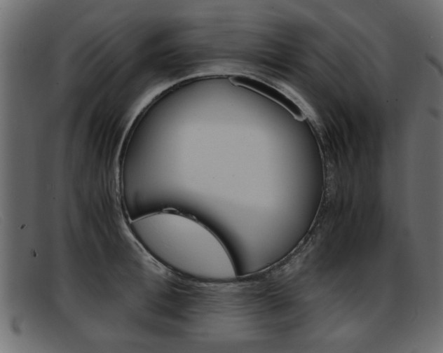 X0000093390996200710111344