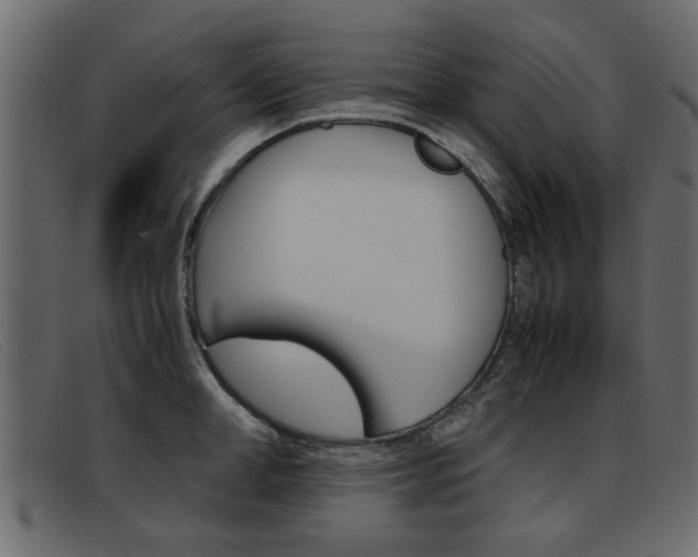 X0000093390998200710111344
