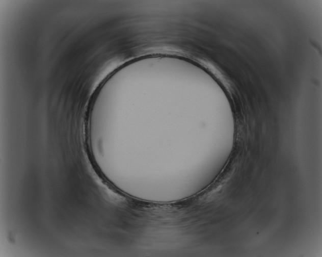 X0000093390999200710111344