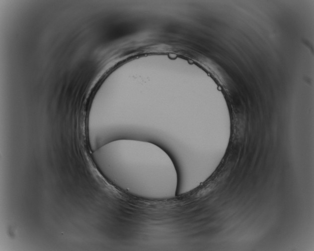 X0000093391000200710111344