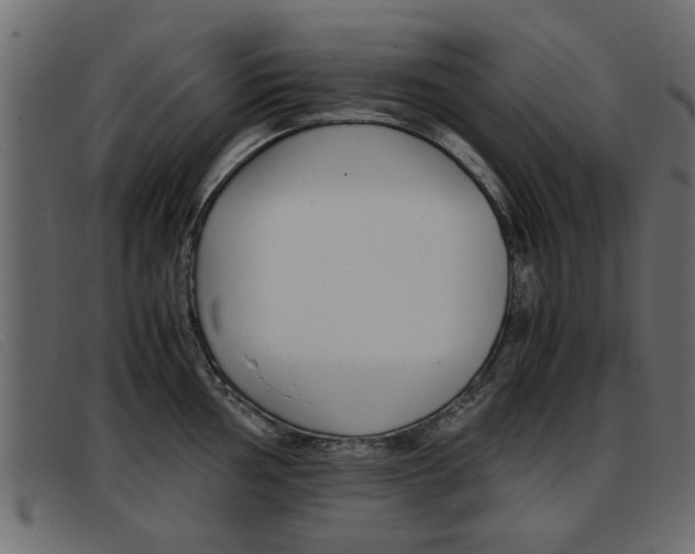 X0000093391002200710111344