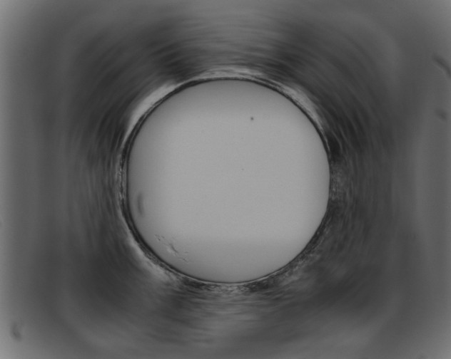 X0000093391003200710111344