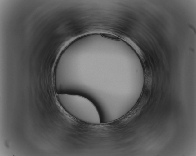 X0000093391004200710111344