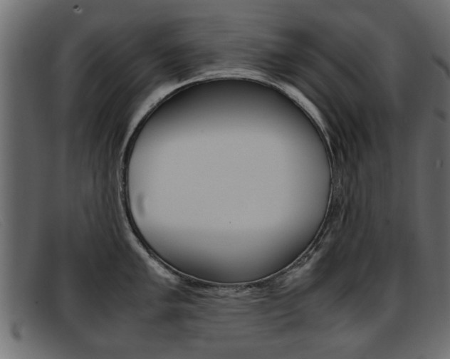 X0000093391005200710111344