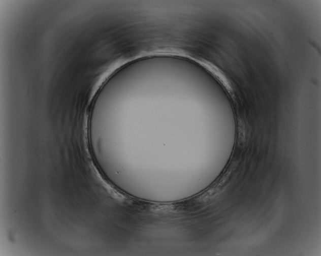X0000093391006200710111344
