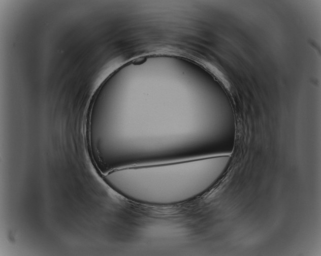 X0000093391007200710111344