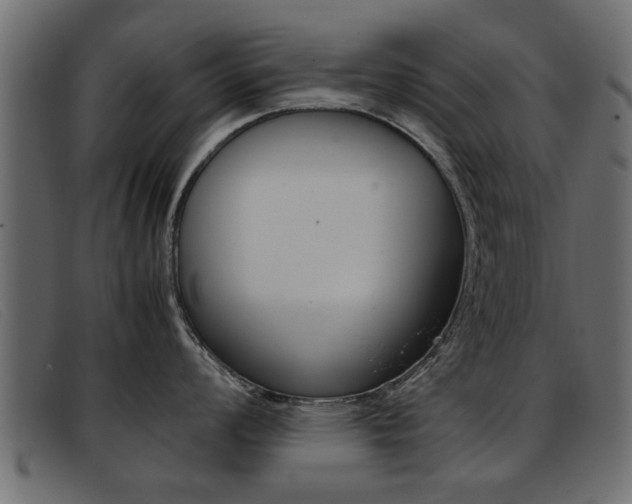 X0000093391008200710111344