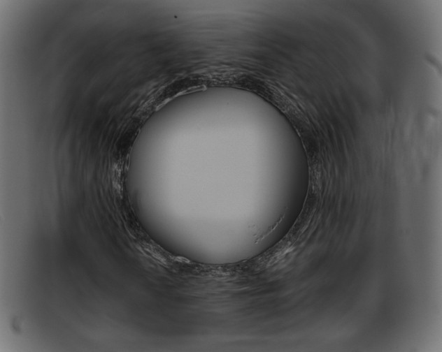 X0000093391010200710111344
