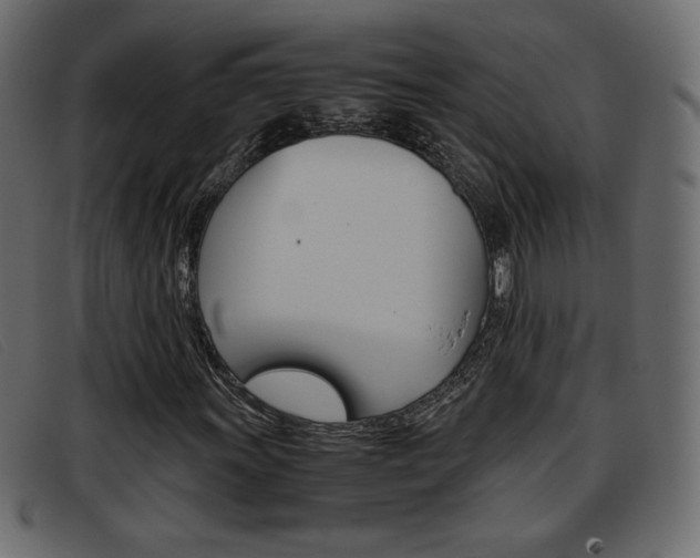 X0000093391011200710111344