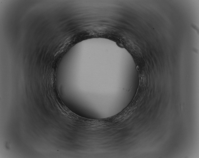 X0000093391012200710111344