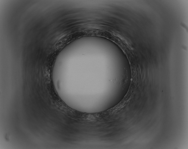 X0000093391013200710111344