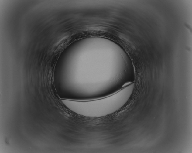 X0000093391014200710111344