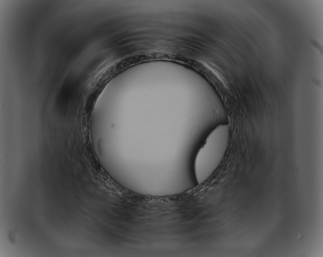 X0000093391015200710111344