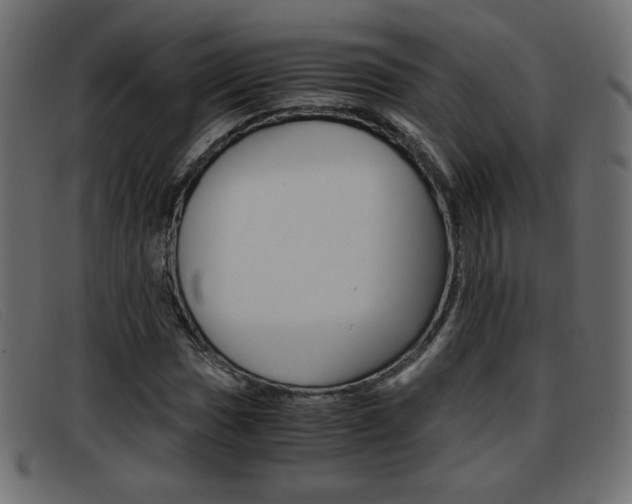 X0000093391017200710111344
