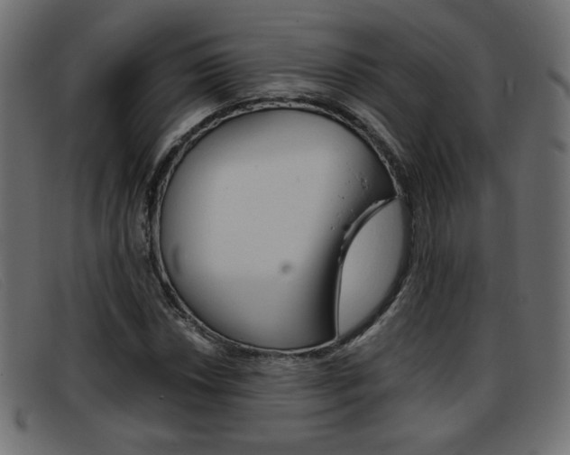 X0000093391018200710111344
