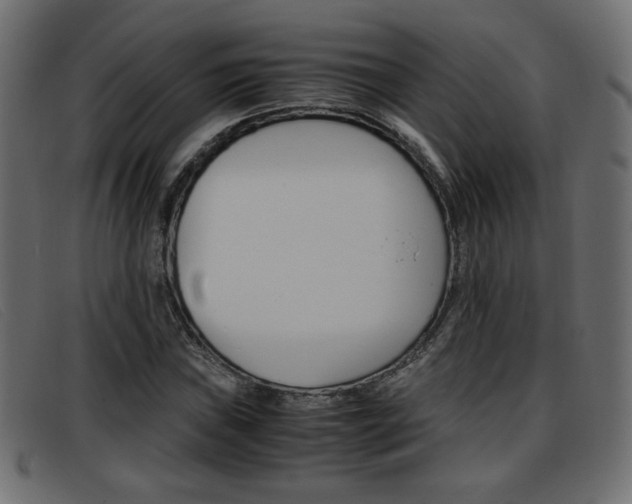 X0000093391019200710111344