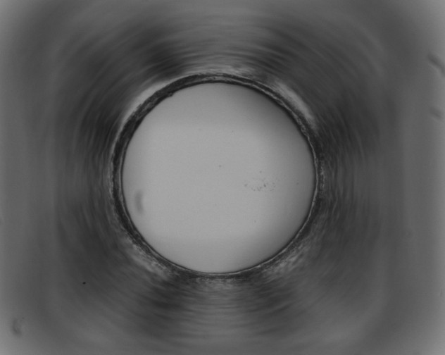 X0000093391020200710111344