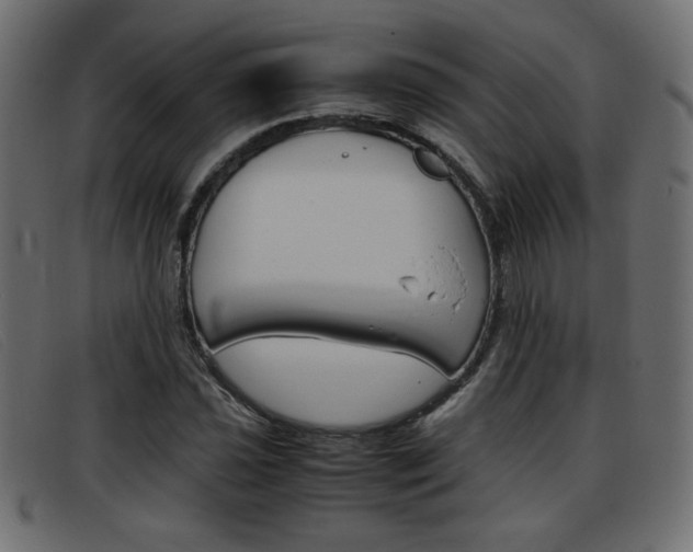 X0000093391021200710111344