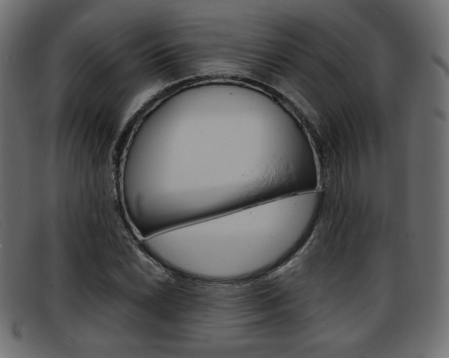 X0000093391022200710111344