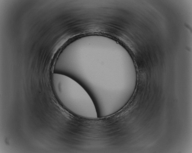 X0000093391023200710111344