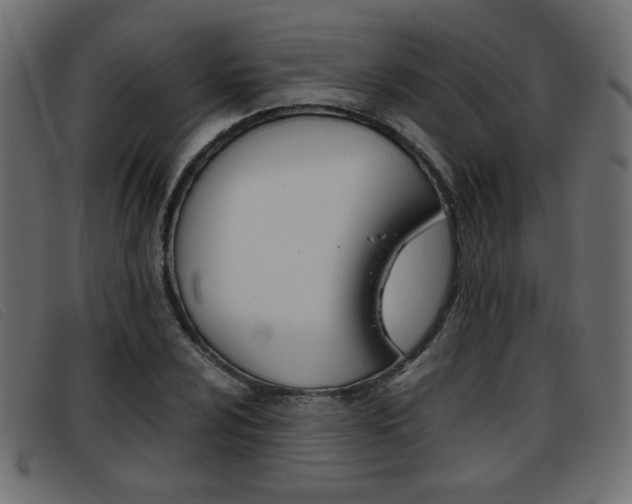 X0000093391024200710111344