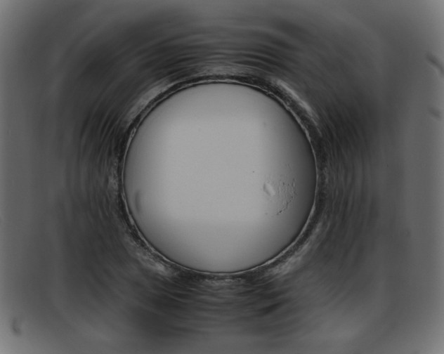 X0000093391025200710111344