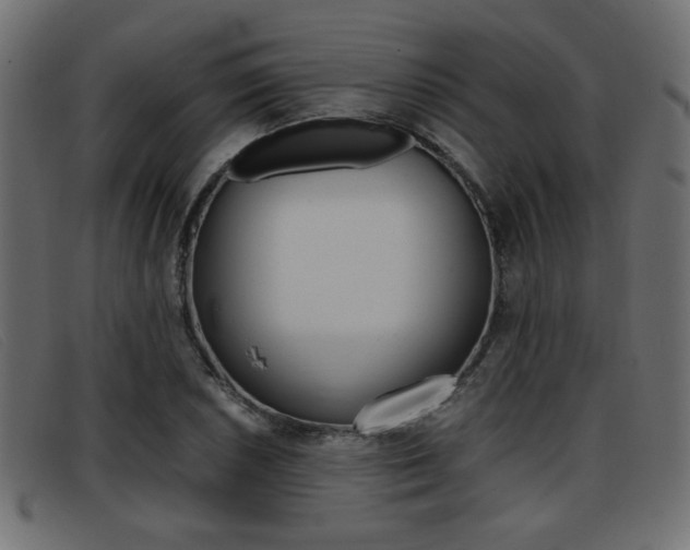 X0000093391026200710111344