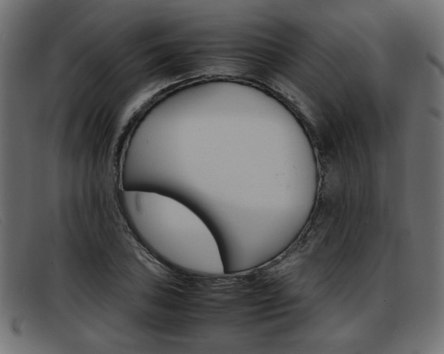 X0000093391027200710111344