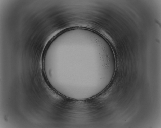 X0000093391028200710111344