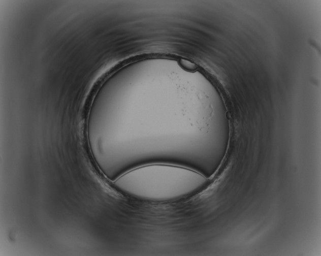 X0000093391029200710111344