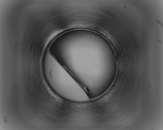 X0000093391030200710111344
