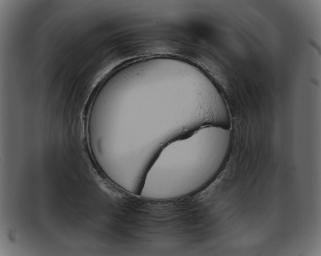 X0000093391031200710111344