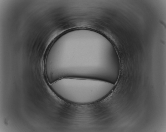X0000093391032200710111344