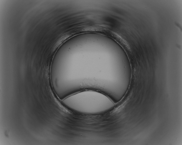 X0000093391033200710111344