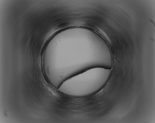 X0000093391035200710111344