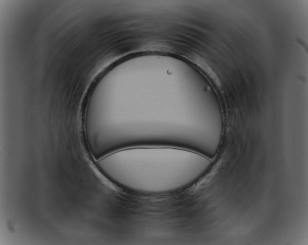 X0000093391037200710111344